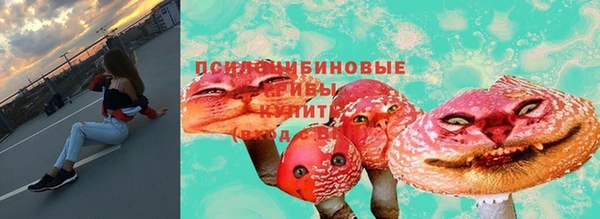 ECSTASY Баксан