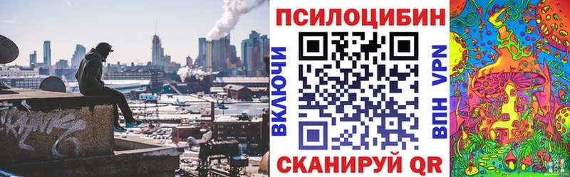 Галлюциногенные грибы Cubensis  Новый Уренгой 